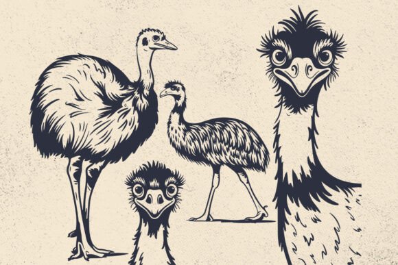 Funny Ostrich Svg File for Cricut: A Designer’s Real-World Embroidery Review