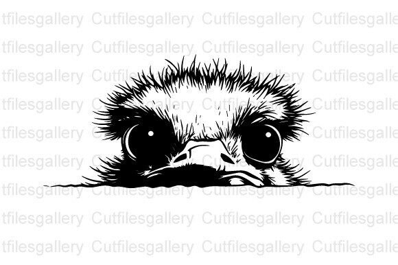 Peeking Funny Ostrich SVG: A Designer’s Real-World Embroidery Review